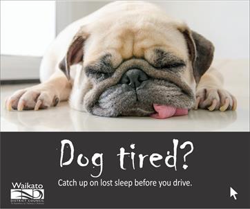 Road Safety Campaign - Dog tired Road Safety Campaign - Dog tired