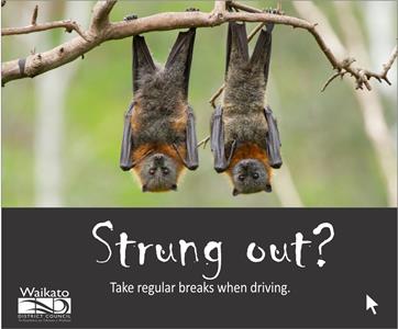 Road safety campaign - Strung out Road safety campaign - Strung out